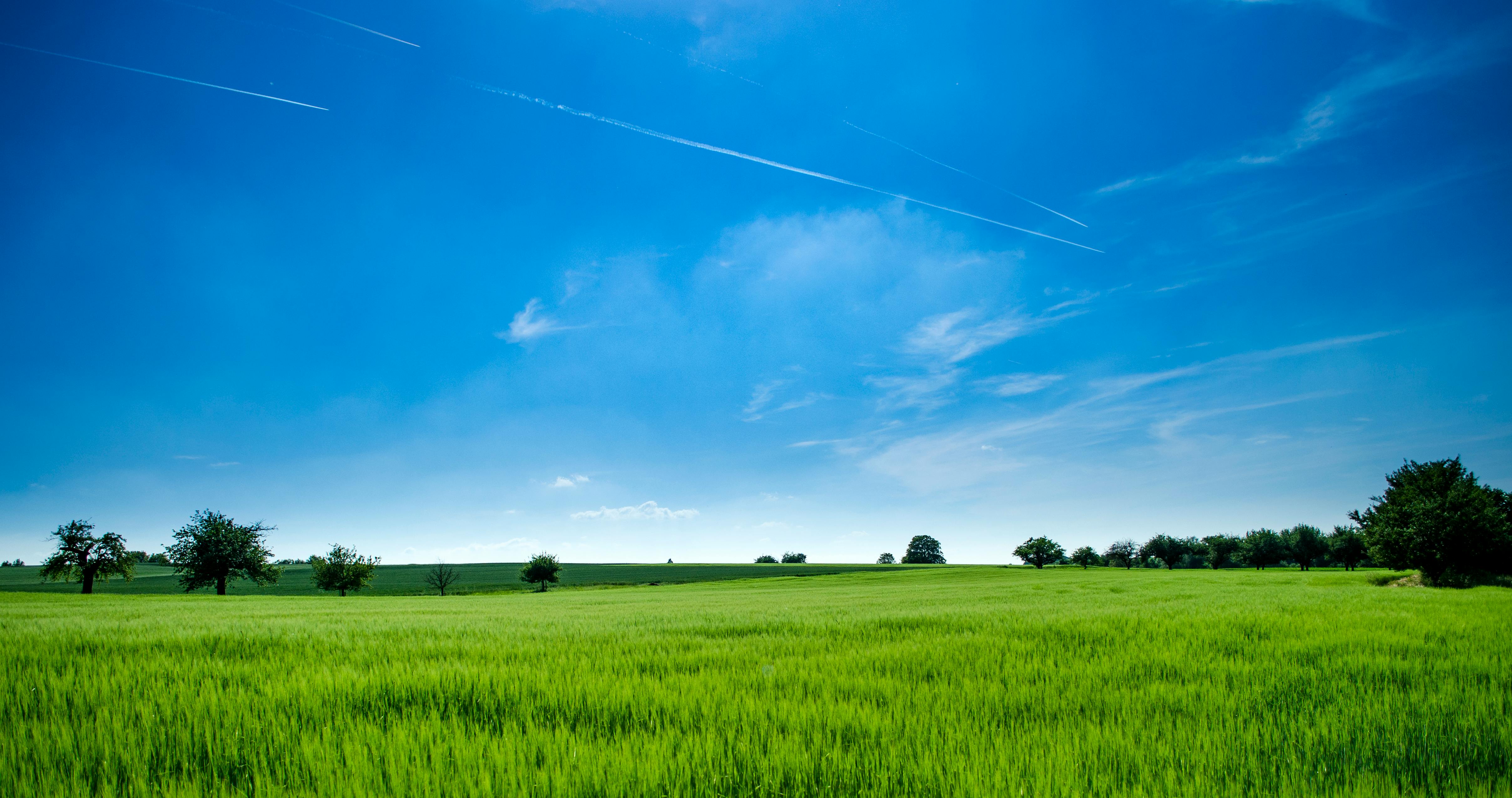 Land image 11